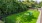 Dog Park
