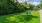 Dog Park